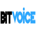 bitvoice solutions private limited 120x120